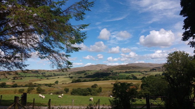 View from Yr Ysgwrn, Poet Hedd Wynn's House