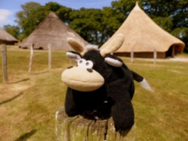 Castell Henllys – Iron Age Village with Pep the toy bull